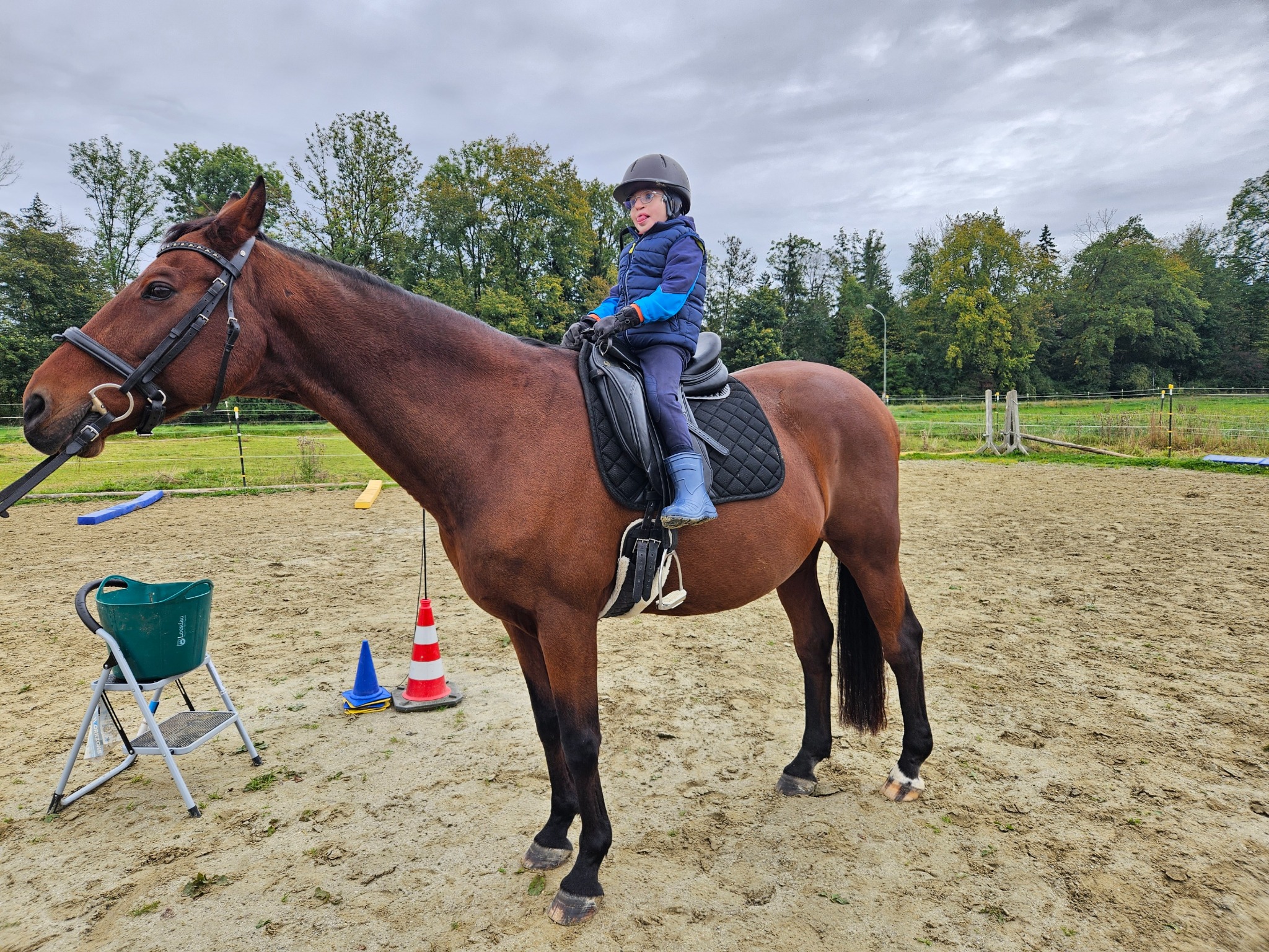 Hipoterapia / Reittherapie
